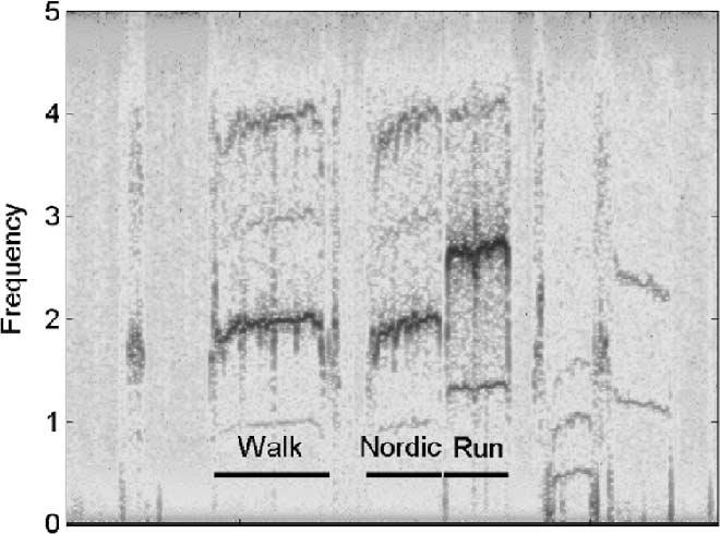 122 IEEE TRANSACTIONS ON INFORMATION TECHNOLOGY IN BIOMEDICINE, VOL. 10, NO. 1, JANUARY 2006 and spectral entropies were estimated and calculated from the respiratory effort signal. Fig. 2. Spectogram of vertical acceleration on chest during walking, Nordic walking and running.
