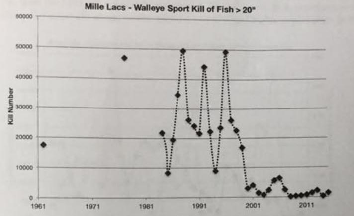 Figure 3. The estimated number of Mille Lacs walleye greater than 20 inches killed by state anglers.