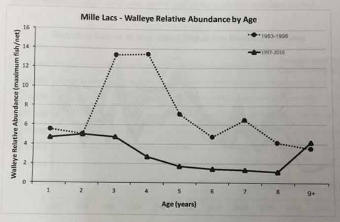 Figure 1. The relative abundance of Mille Lacs walleye for two time periods before and after the enactment of the management procedure.