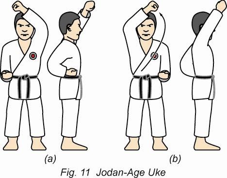 Chudan Soto-Uke (outside block) - fig 12 (a) Extend your left fist (palm down) in front of your solar plexus.