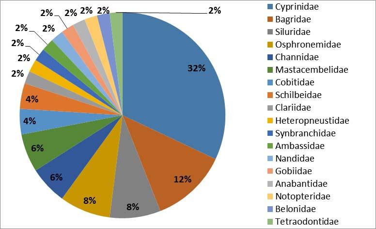Fig 2: Percentage distribution of species composition As far as abundance of the recorded fish is concerned, they were