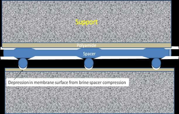 Figure 1. Schematic representation of particulate damage to RO membranes. Figure 2. Membrane surface abraded by particles.