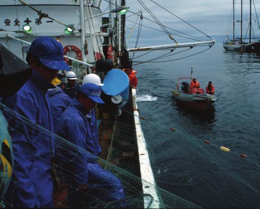 to provide information on IUU fishing vessels.