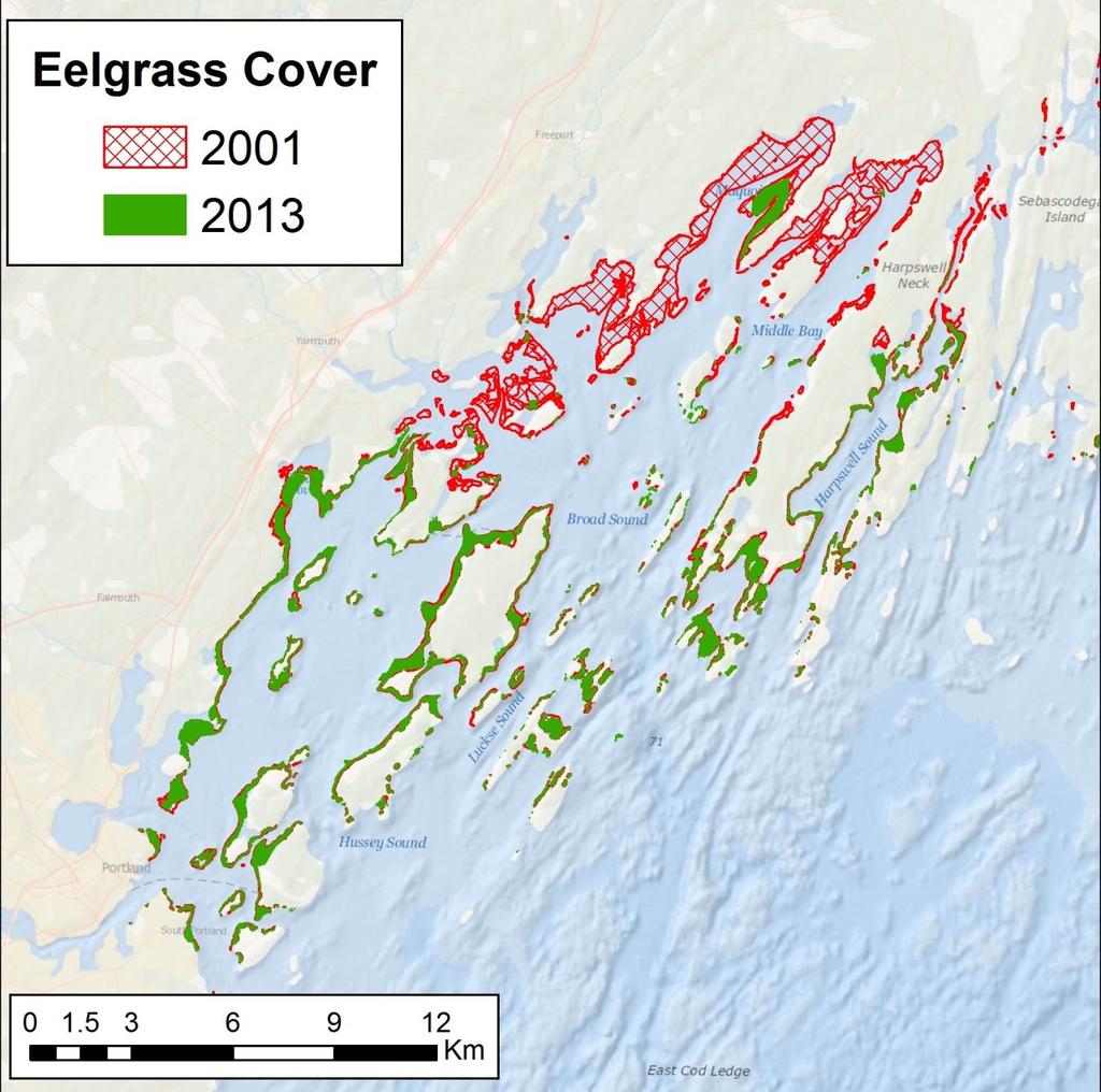 Eelgrass Change in Casco Bay Mapping by Seth Barker Produced by: Maine DMR (2001) Maine DEP & Casco Bay Est.