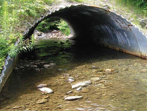 Technical Concerns This document presents concepts and considerations for the design of stream crossings to provide aquatic organism passage.