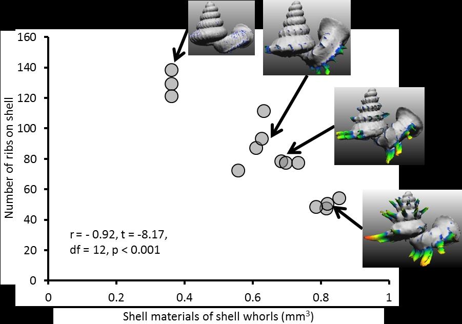 Figure S15. A graph shows the correlation between total shell materials and number of ribs.