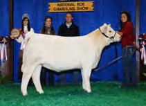 Firegirl 9745W ET The 2010 42nd National Grand Champion Female Topped the 2010 National Charolais Sale at $50,000. Daughter of Thomas Ms Impressive 0641 Selling Three (3) Frozen Embryos!