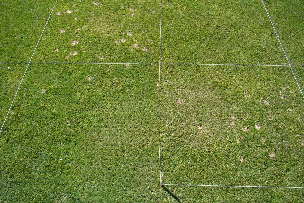 Fig. 3. Snow mold fungicide treatments on a fairway at Meadow Lake Resort Golf Course in Columbia Falls, MT. Rated on 11 Apr 2014.