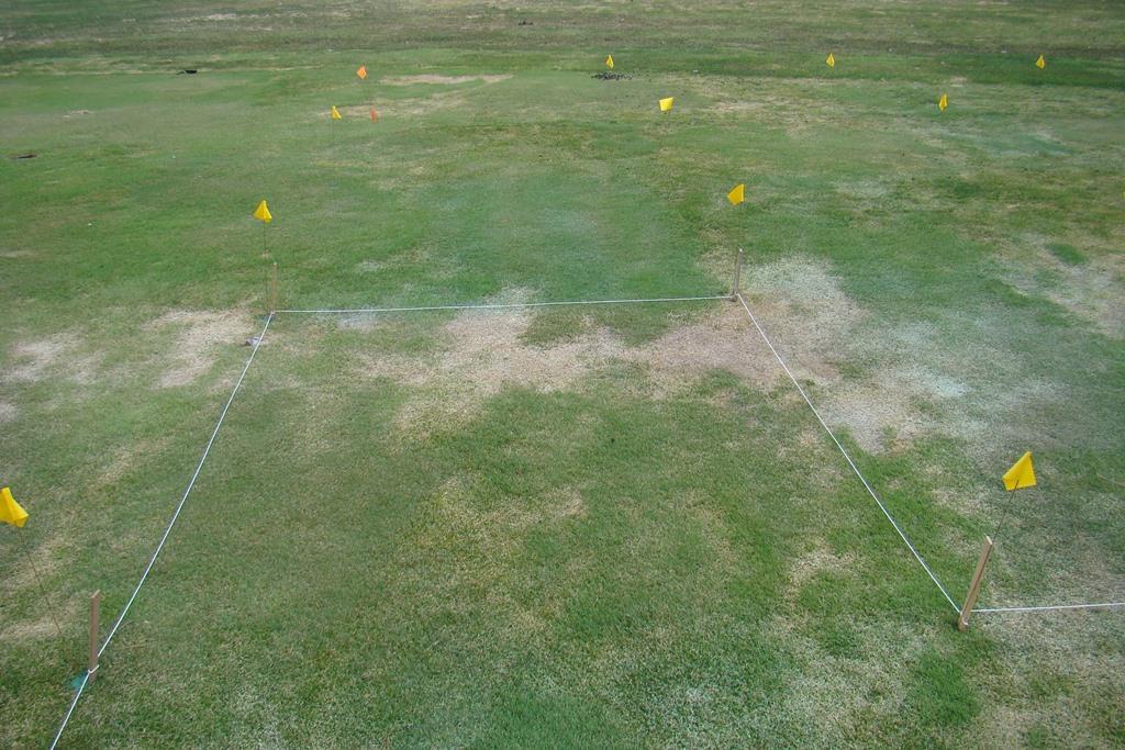 Table 3. The effect of fungicides on a fairway to control pink and gray snow mold at the City of McCall Golf Course in McCall, ID. Rated on Snow mold + winter injury Form.