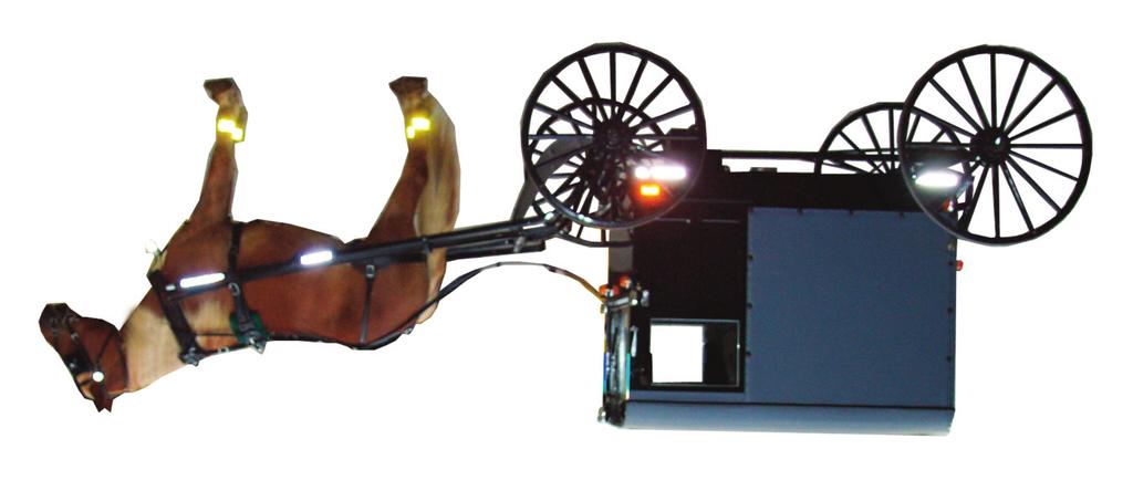 Reflectors are important for the side of the buggy and the horse. It is difficult for other drivers to tell what a buggy is from the side, especially at night.