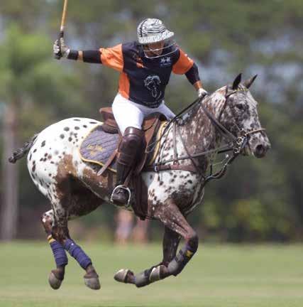 DISCOVER GAY POLO Founded in 2006 by Chip McKenney Only LGBT polo tournament in the world North