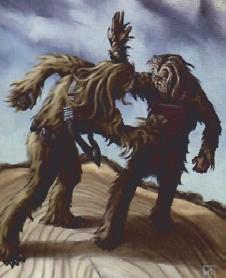 Wookie Wrruushi Martial Arts Wrruushi was a form of martial art developed by the Wookiees, and only Wookiees were capable of performing it.