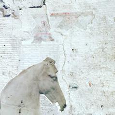White Horse Wall Nicole Wadlington