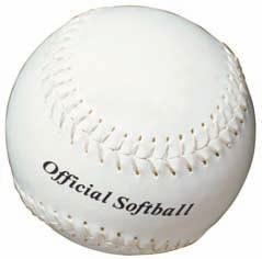 Professional baseball for women ended after