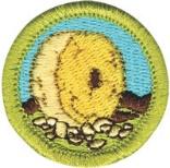 Geology + Mining in Society Indian Lore Scouts in this badge should bring a notepad and a pen or pencil. Inventing Kayaking Leatherwork Lifesaving Boat Docks - 12am - 1 Prerequisites: Req.