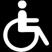 have a disability Motoric Vision