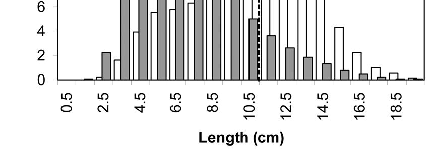 Figure 5. Length distribution of Roundnose Grenadier catches in the fall surveys of the Labrador and NE Newfoundland Shelves and the Grand Bank. Lengths are preanal fin length (AFL).