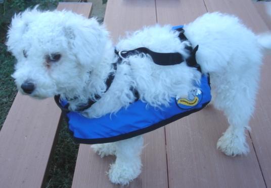 approved, they nevertheless have a place in the market and can help promote pet owner PFD wear, and especially PFD wear by children.