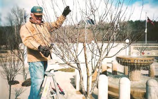 Benton County Master Gardener Tony LiCausi, U.S.