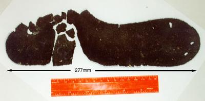 Parts of a Shoe Sole The sole pieces were from a women's left shoe, and of a