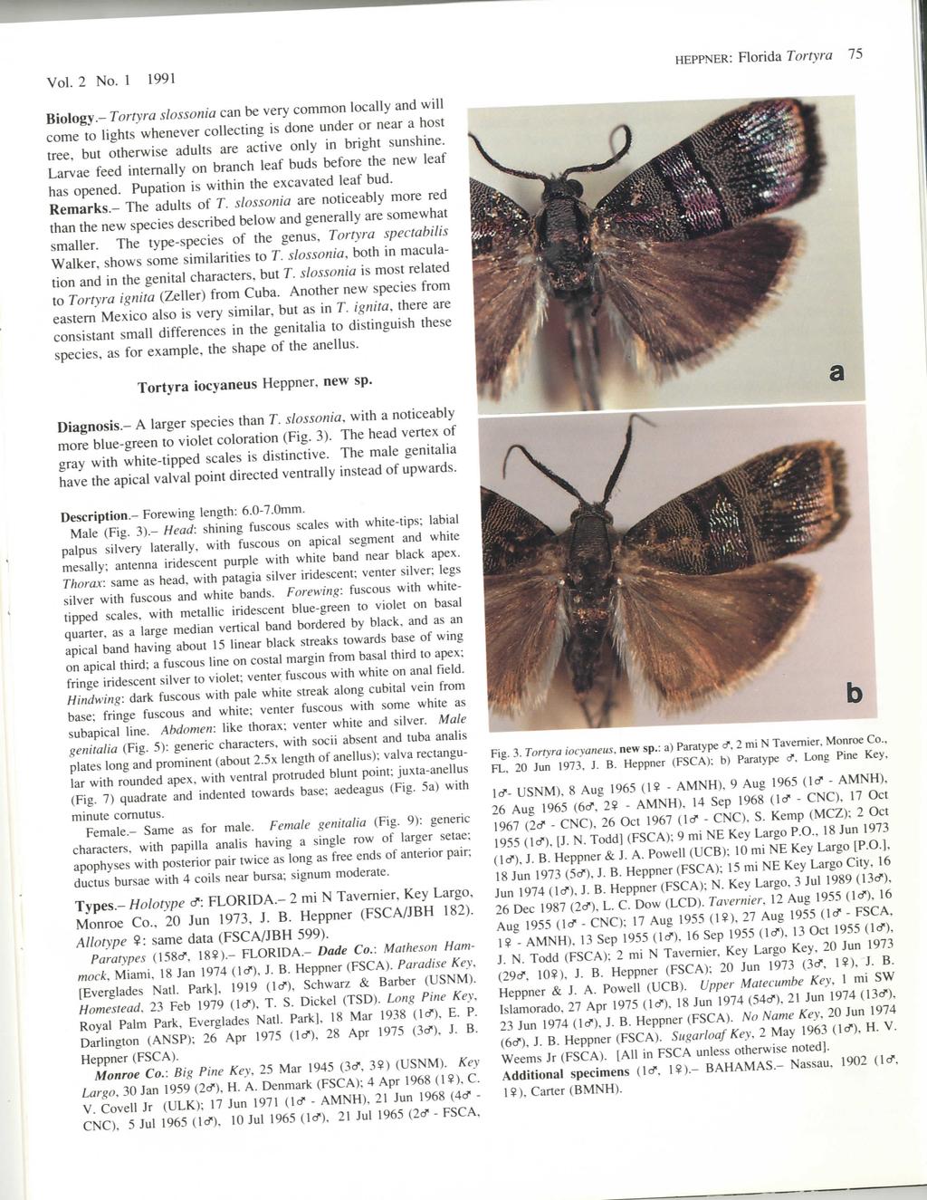 Vol. 2 No. 1 1991 HEPPNER: Florida Tortyra 75 Biology.