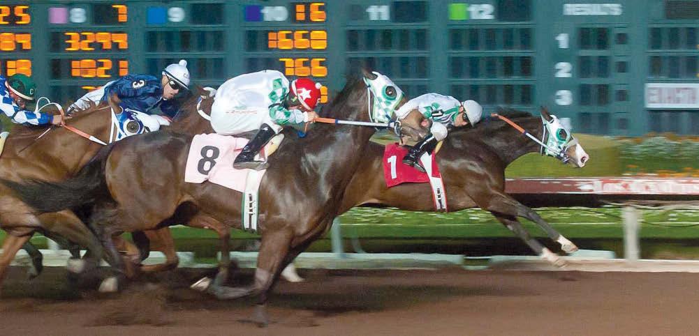 REMEMBE SCOTT MARTINEZ Remembering Spence noses out Perrys Affair. Remembering Spence comes home in the Los Al Winter Derby. By Andrea Caudill Watch the Los Alamitos Winter Derby!