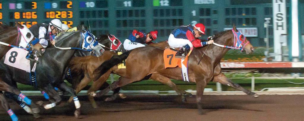 Rylees Winter Llate-charging runner rylees boy didn t even need the extra 40 yards to make his winning move in the 400-yard Los Alamitos Winter Championship (G1).