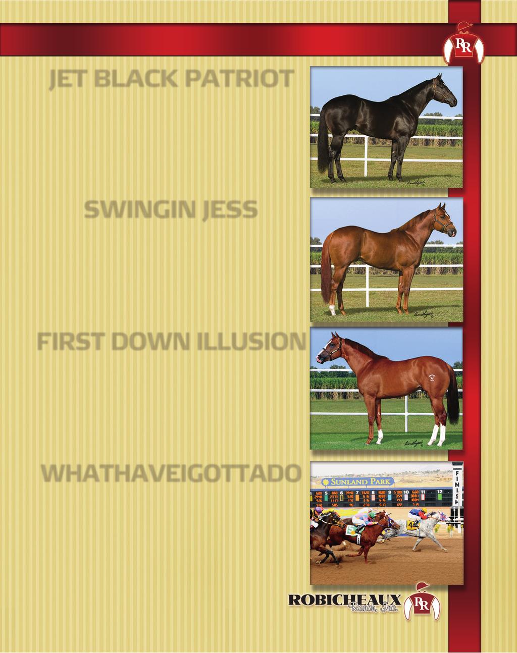 9 MILLION IN EARNERS Property of Robert Touchet 2013 FEE $6,000 SI-111 $533,181 Victory Dash x A Toast To Jet by Raise Your Glass TB 2-TIME CHAMPION SIRE OF $18.