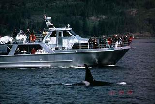 PETITION TO ESTABLISH A WHALE PROTECTION ZONE FOR THE SOUTHERN RESIDENT KILLER WHALE (ORCINUS ORCA) DISTINCT POPULATION SEGMENT UNDER THE