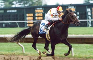 2001 Toyota Blue Grass Stakes Chart APRIL 14, 2001 1 MILES. TOYOTA BLUE GRASS S. Grade I. Purse $750,000 For three year olds.