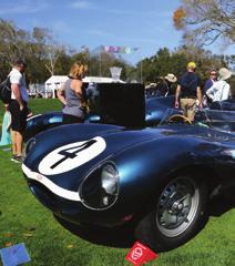 is unique to Amelia. Expect to see about 15-20% of the field being race oriented, with the rest of the show some of the most unique automobiles in the world.