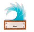 This pack is designed to help you understand the Surf Industry Awards process, as well as provide a step by step guide to completing your online entry.