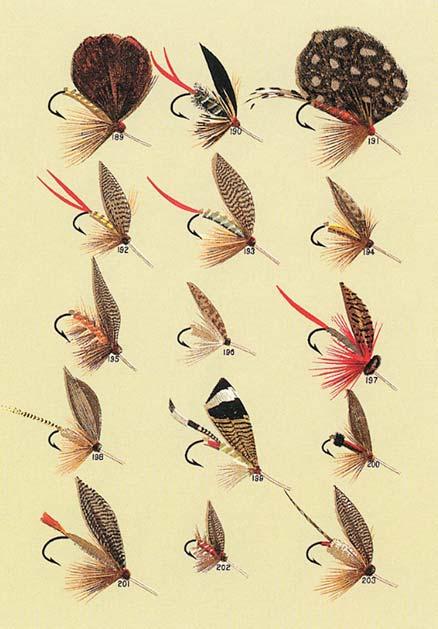 - The Fly-Fisher s Entomology - A Treatyse of Fysshynge wyth an Angle (TFA) The Boke of St. Albans TFA edition of the Boke The Contribution of Juliana Berners TFA and The Boke of St.