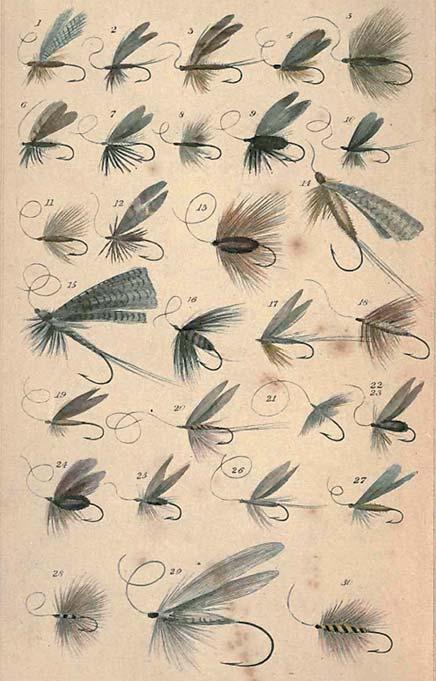 - Figure 4. The 30 most important flies as deemed by Bowlkers (1746): 1. Red fly; 2. Blue Dun; 3. March Brown; 4. Cowdung Fly; 5. Stone Fly; 6. Granam or Green Tail; 7. Spider Fly; 8. Black Gnat; 9.