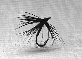 Figure 6. Stewart s (1857) flies tied with a palmer hackle (no wings). This is his black spider, a precursor to wet flies that are still tied today.