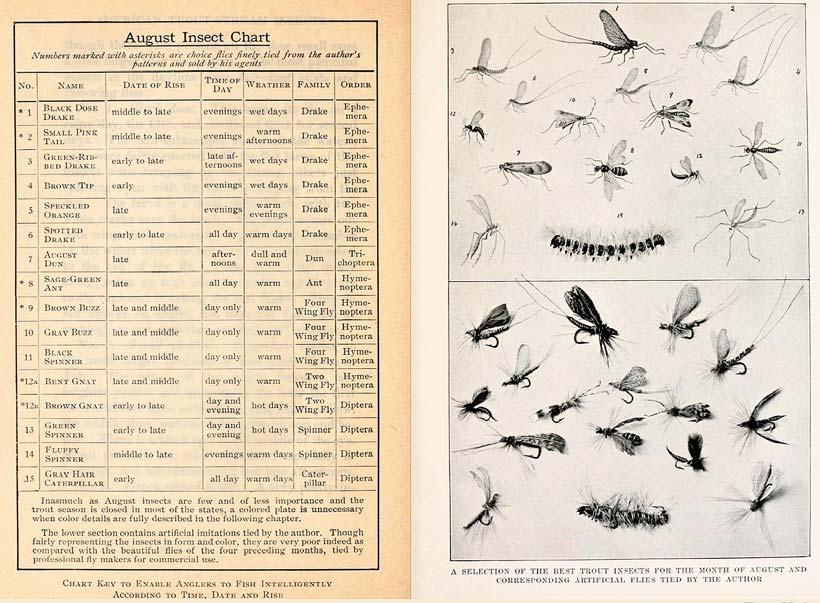 - The Compleat Angler Systema Naturae Dry Fly Entomology - - - - - - - - - - - - Ephoron leukon American Trout Stream Insects. - - A Book of Trout Flies The Situation Today Figure 11.