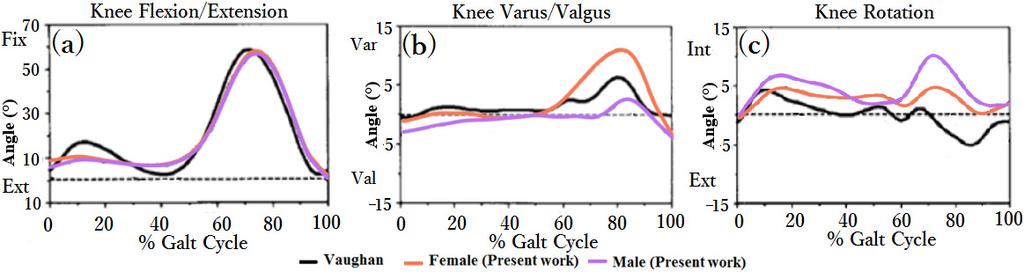 On transverse plane, the amplitude is similar and reach the peak at 70% gait cycle which slightly different with [7] that shows the peak at around 80% of gait cycle (Fig. 13 (c)). Fig.