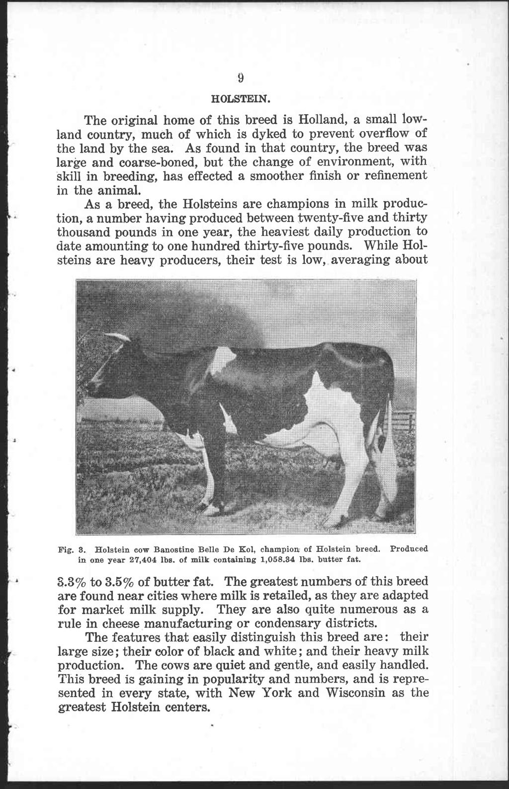 9 HOLSTEIN. The original home of this breed is Holland, a small lowland country, much of which is dyked to prevent overflow of the land by the sea.