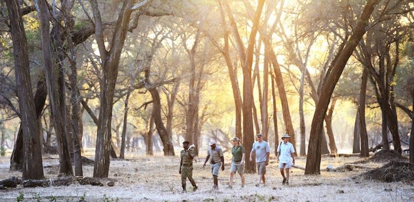 3. SAFARI ACTIVITIES - VARIETY & CHOICE Nowhere else do guests have the variety, flexibility and choice as they do at these two safari camps.