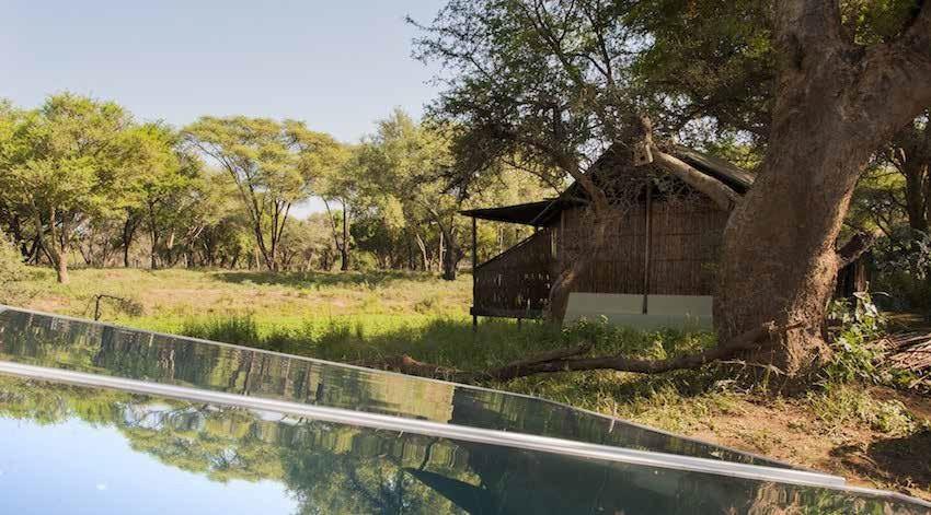 7. ECO-FRIENDLY The holistic approach of our camps towards the environment is key to a healthier and more sustainable safari industry.