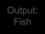 Fish Direct inputs: 1. Fuel 2.