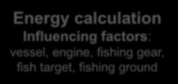 factors: vessel, engine, fishing gear,