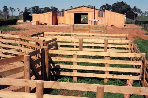 Construction of a round yard with small holding yards attached, for easy handling of weanlings.