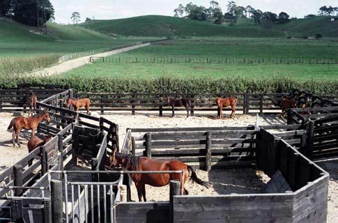 For peace of mind, quarantine purposes and to prevent stress and injury caused by moving mares and foals on a daily basis from the security and safety of a familiar paddock to yards, some large studs