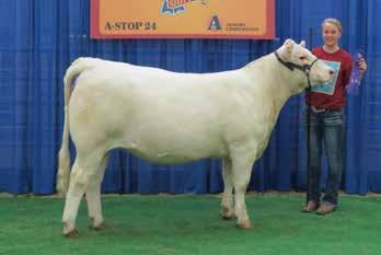 After that purchase he went on to the National Charolais Show in Fort Worth and was a National Class Winner. His dam is one of those good Funk Charolais Turbo 756 daughters.