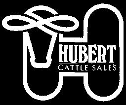 In fact, many of the sires of the cattle offered to you today, I have either purchased for them on order at various sales across the United States, or consulted with Larry at other sales he has