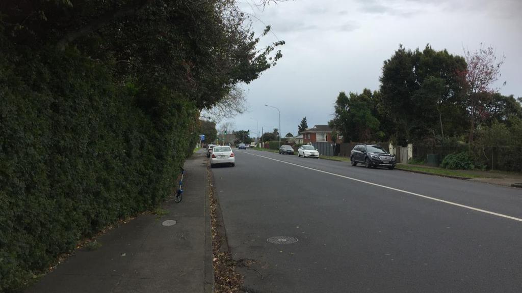 Mangere Road between Walmsley Road and Great South Road provides a single lane in each direction with additional lanes on the approaches to the Great South Road/ Mangere Road and Walmsley Road/