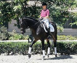 exercise. However, within a few strides, the average horse will feel the strain of having to bend his inside stifle and hock a little more deeply.