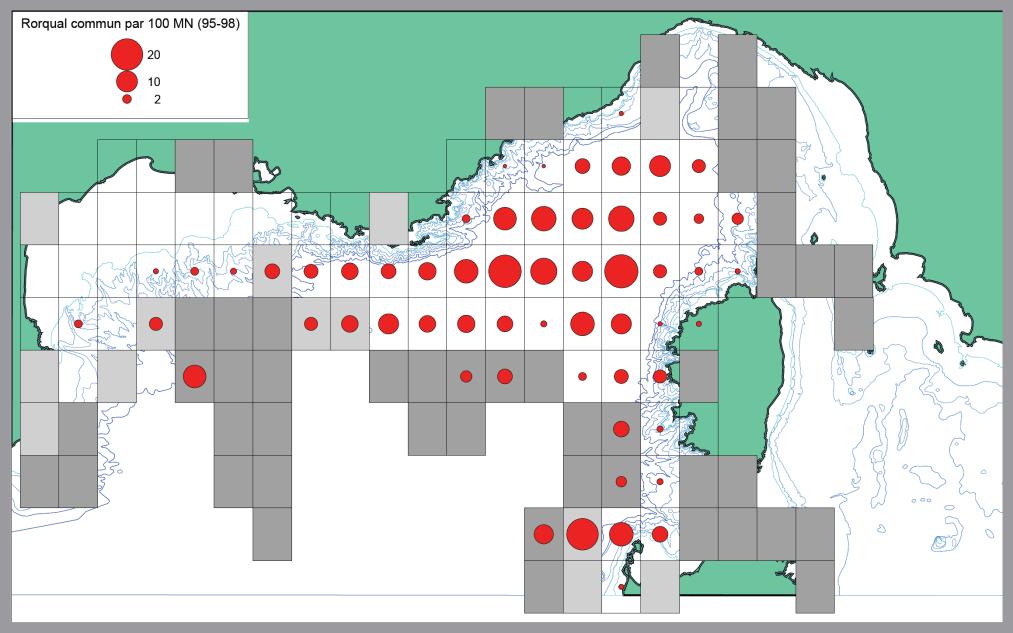 The Pelagos Sanctuary accounts for 2 of the 8 concentration knots of maritime traffic (Genoa and Marseille) identified throughout the basin, and 15 links are ensured by at least 6 passenger transport