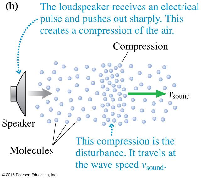 15.2 Sound waves 12 When a loudspeaker cone moves forward, it compresses the air in front of it.